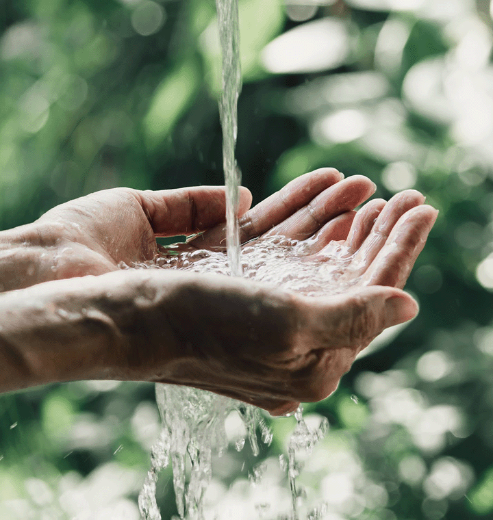 Hands cupping flowing water